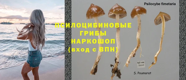 марки nbome Богородицк